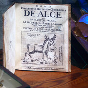 El Real Gabinete de Historia Natural. Courtesy of Museo Nacional de Ciencias Naturales