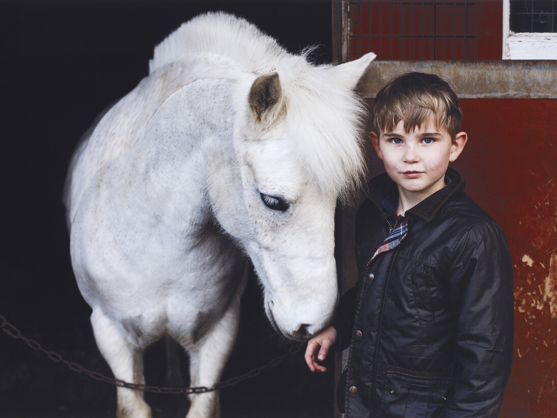 Felix by Tracy Howl, 2014 © Tracy  Howl