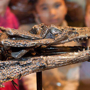 Galerie des Dinosaures. Courtesy of Royal Belgian Institute of Natural Sciences