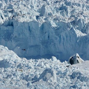 Perpetual Revolution. Courtesy of ICP