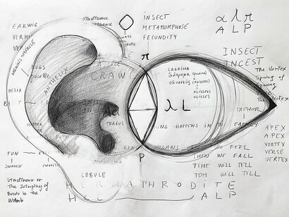 Dora García, L'insecte 21 (aus der Serie Mad Marginal Charts), 2023. Mit freundlicher Genehmigung der Hamburger Kunsthalle