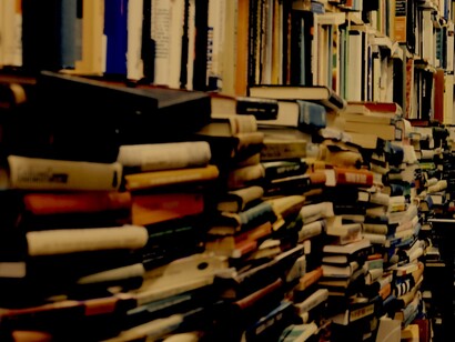 A paixão pelos livros