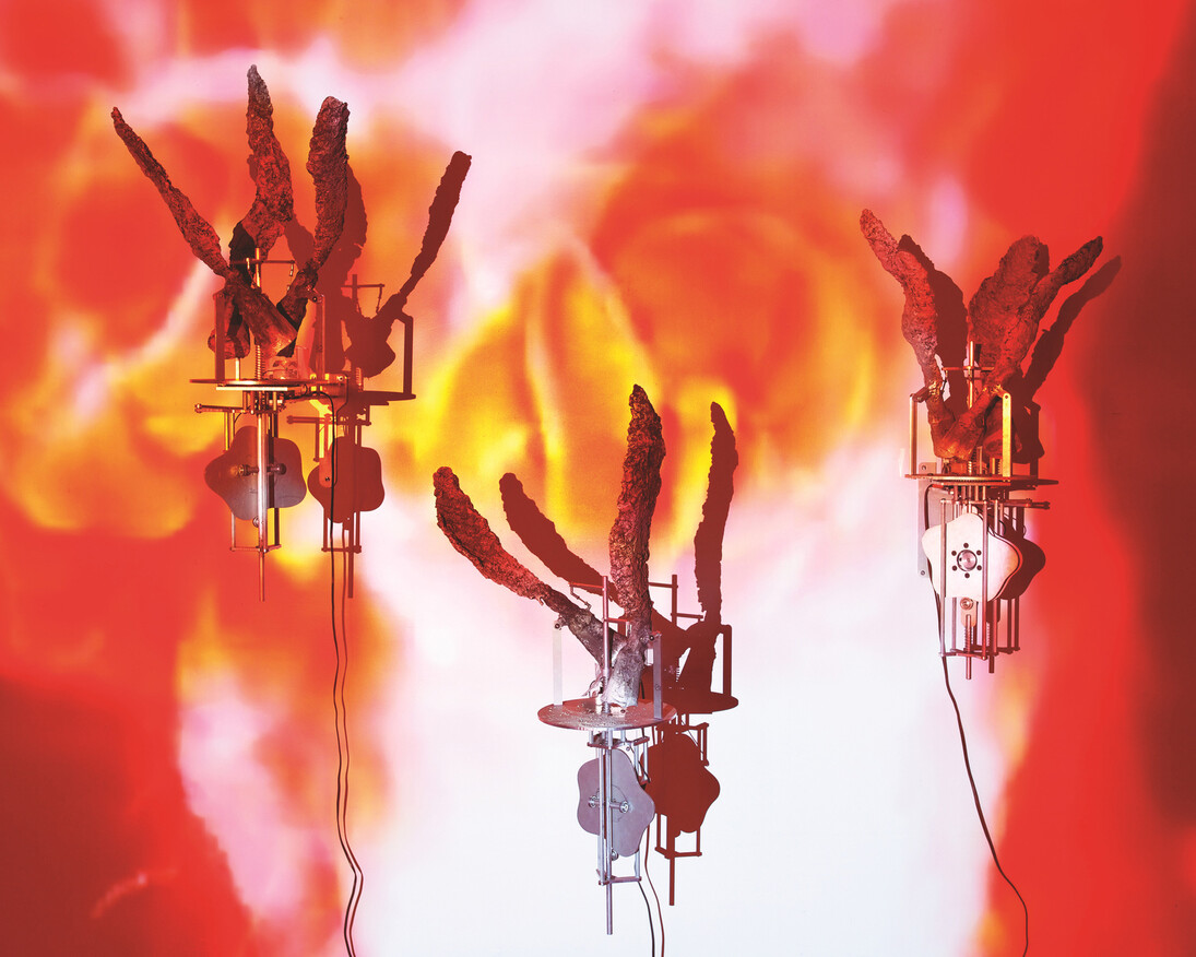 Carolee Schneemann. Courtesy of MoMA PS1