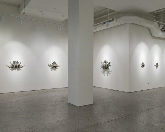 Hallucinatory Enhancements. Courtesy of Joshua Liner Gallery