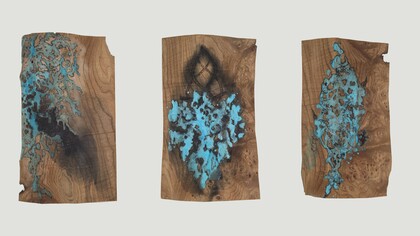 Cortecce, solfato di rame e china cinese su radica, cm 30x20 ciascuna, 2017