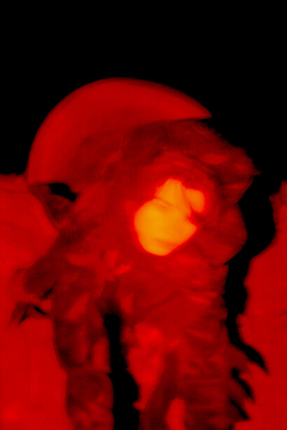 Julius Schröder, Motif from the series “When I get bored of looking inside myself”, 2025. Courtesy of Staatsgalerie Stuttgart