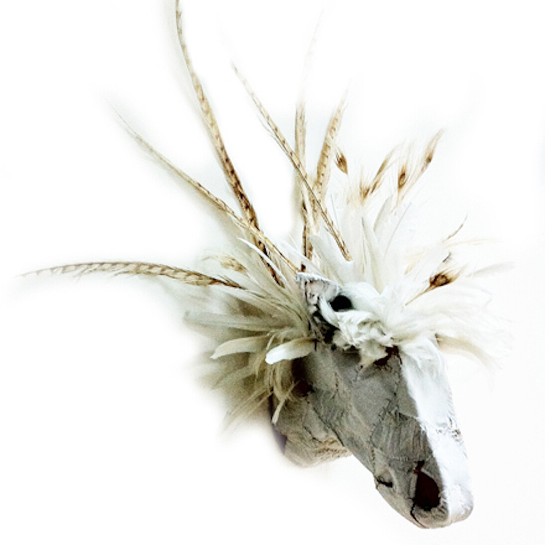 Series Wild thing, Trophy mixed media Courtesy Zoé Rumeau et Laure Roynette Gallery