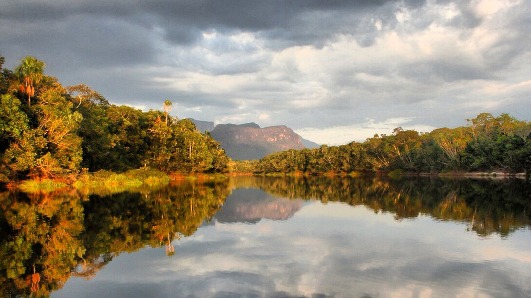 Vista del Cerro Autana, estado de Amazonas, Venezuela, desde el río