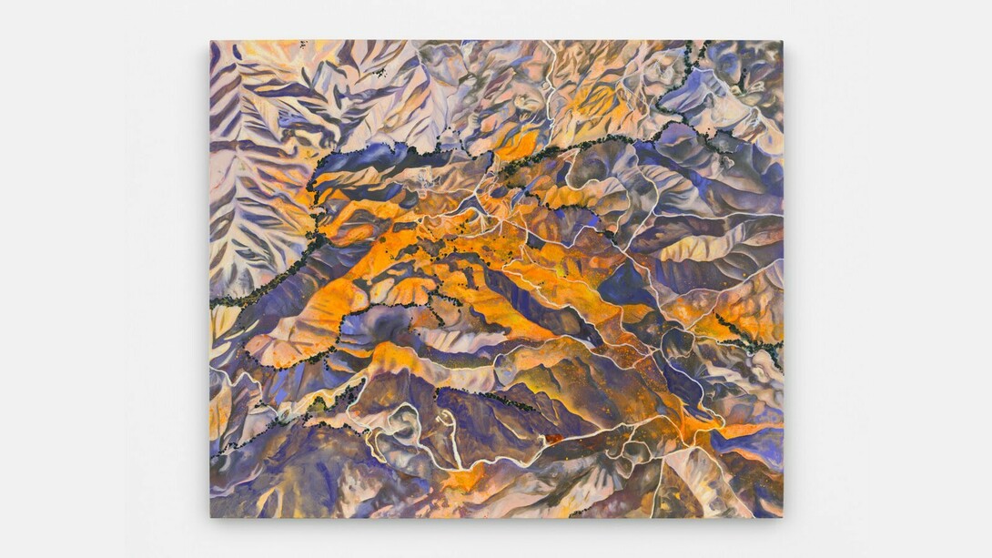 Olivia Hill, Poppies From Space 33°47'03.9"N 117°25'17.5"W, 2024, oil on canvas, 60 x 72 in (152.4 x 182.9 cm). Courtesy of the artist and Bel Ami Gallery