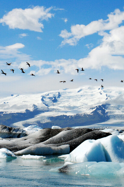 Oceano, rochas, aves e montanhas compoem o cenário da Antártica