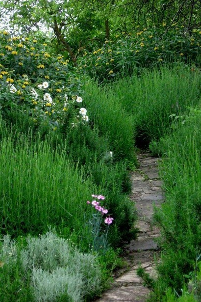 Sentiero nel giardino a Petralta, Perugia