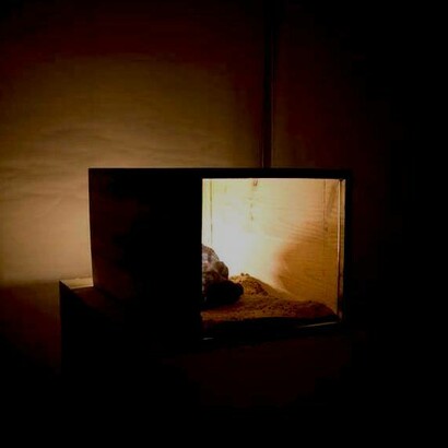 A obra de Rúben Gonçalves