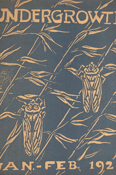 Dore Hawthorne, Undergrowth: a magazine of youth and ideals, january–february 1928. Courtesy of the Art Gallery of New South Wales