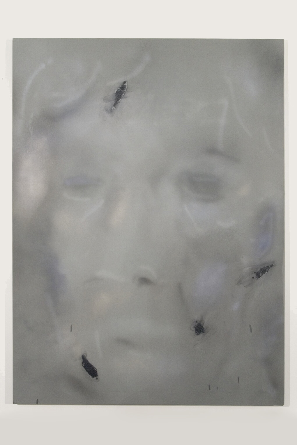 Ian Swanson, aging5, 2014-2015, airbrushed acrylic, graphite on rayon,  62 x 46 in.