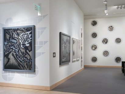 Deep Line Drawings by Carlos Luna, Exhibition view. Courtesy of Boca Raton Museum of Art