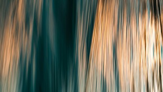 L’imaginaire