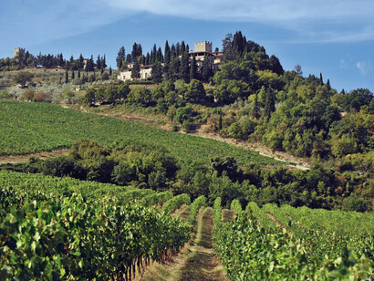  Castello di Verrazzano  
