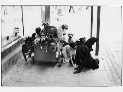 Elliott Erwitt, England, 1974, © Elliott Erwitt/Magnum Photos