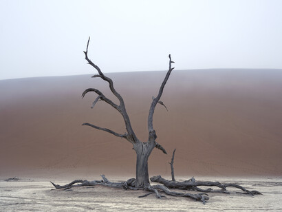 Sossusvlei, Parco nazionale di Namib-Naukluft. Namibia, 2022 © Paolo Pellegrin/Magnum Photos