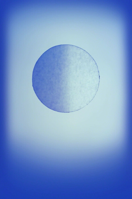 Art + Place London. Courtesy of HackelBury Fine Art