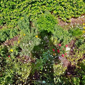 Robert Gordon McHarg