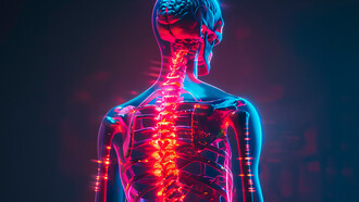 Ilustração do corpo humano. No âmbito fisiológico, a postura corporal desempenha um papel crucial no fluxo sanguíneo cerebral