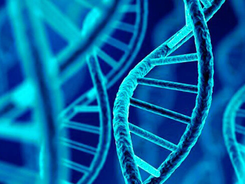 Representación de una secuencia de ADN
