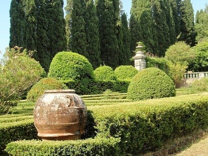 Bossi topiati villa curonia