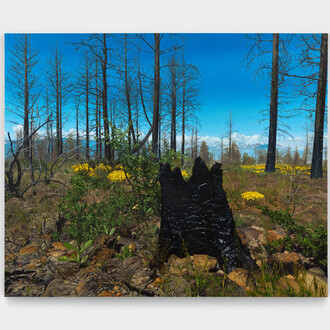 John Seal, Shasta-Trinity National Forest 1, 2023. Oil on canvas, 44”h x 54”w (112 x 137cm). Courtesy of Harkawik Gallery
