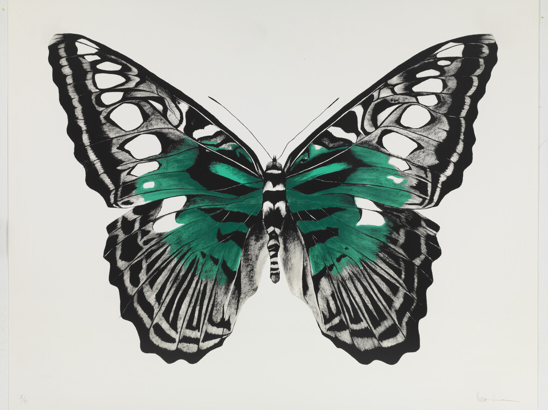 Butterfly Green, hand printed silk screen, 96 x 122cm