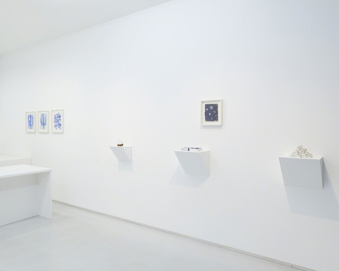 Satoshi Hirose, Exhibition view. Courtesy of Tomio Koyama Gallery