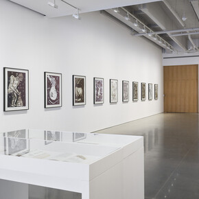 Dr. Lakra y Miguel Covarrubias, Contracorrientes, vista de exhibición. Cortesía de kurimanzutto