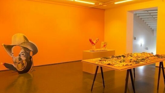 Installation view, Gaylen Gerber, MCA Chicago, May 25-Sep 8, 2013. Photo: Nathan Keay, © MCA Chicago