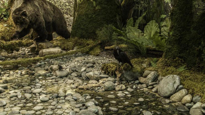 Natural History Gallery. Courtesy of Royal BC Museum