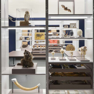 Aha?! Forschungswerkstatt, ausstellungsansicht. Mit freundlicher genehmigung des Senckenberg Naturmuseums