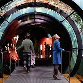 Pharmaceutics. Courtesy of Deutsches Museum