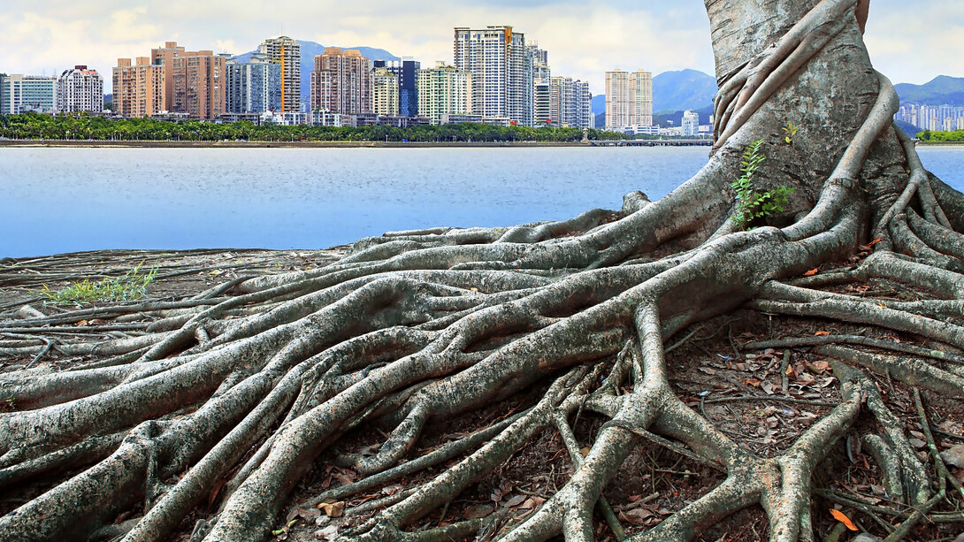 La resiliencia es una actitud necesaria para reencontrarnos con la normalidad