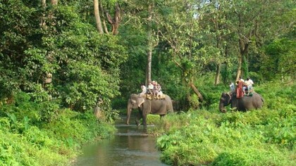 Elephant ride across Gorumara National Park