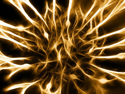 Evoluzione. Dopo la rivoluzione copernicana, che ci ha spodestato dal centro dell’universo, dopo essere stati cacciati dal Paradiso Terreste dalla rivoluzione darwiniana (non più figli di Dio, ma figli dei processi evolutivi della materia) ecco che siamo di fronte a una rivoluzione cognitiva, che ci dice che la capacità di costruire significati non ha niente di esclusivo, ma è solo il risultato di una materia che, grazie all’evoluzione, si è auto-organizzata e ha imparato a calcolare significati