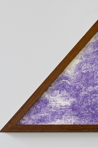 Gary Colclough. Any More Than Nature. Close detail