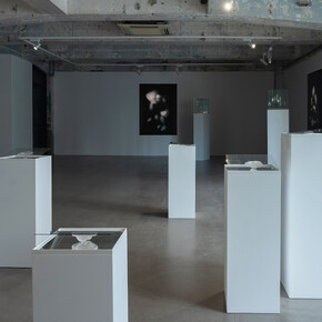 Isaac Chong Wai, Carefully, exhibition view. Courtesy of Blindspot Gallery