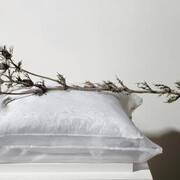 Commanding Space. Courtesy of Amon Carter Museum of American Art