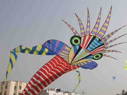 Makar Sankranti 2014