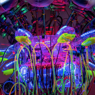 Incubate. Courtesy of Ronald Feldman Fine Arts