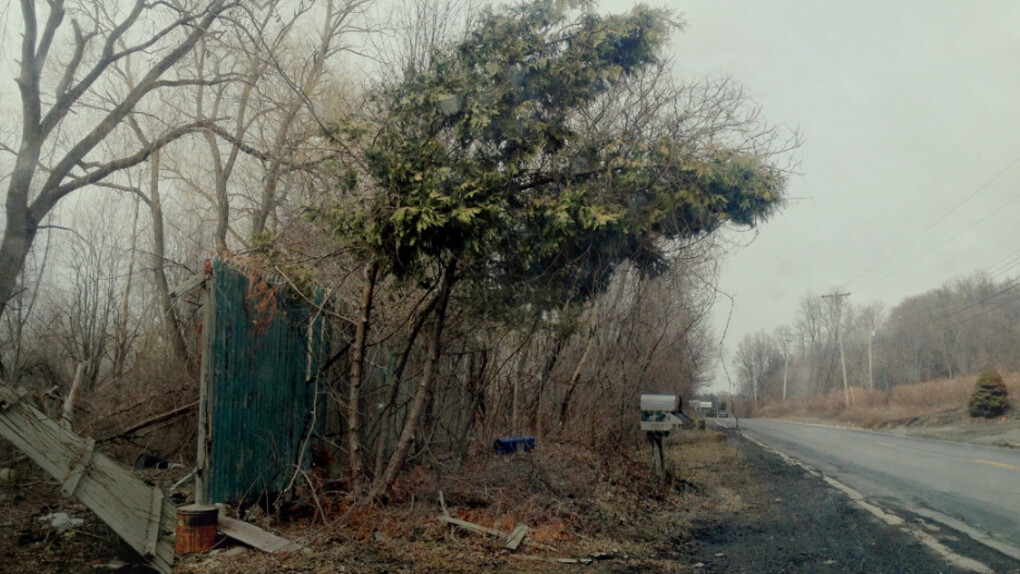 Sonder. Courtesy of Casemore Kirkeby