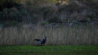 Villa Serrana, Uruguay, se presenta como un refugio donde el silencio y el tiempo lento permiten que la inspiración vuelva a aparecer