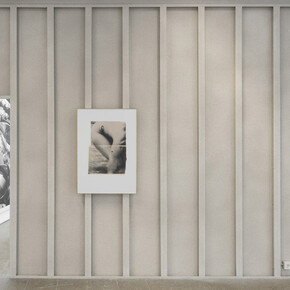 The Swamp of Forever. Courtesy of Nogueras Blanchard