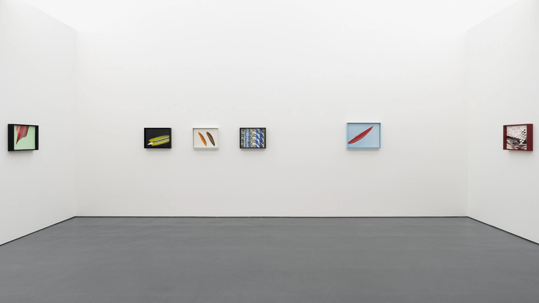 Tauba Auerbach, Clepsydra, exhibition view. Courtesy of Esther Schipper Gallery
