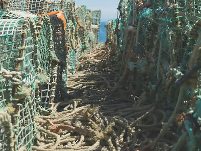 Awaiting the arrival of a fisherman to capture lobsters and crabs, the scene is set with anticipation for the impending seafood harvest, California, US