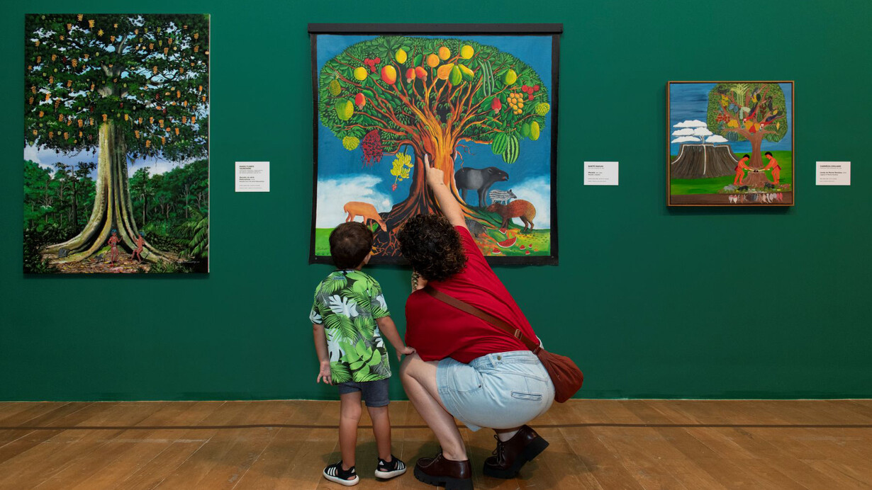 Vários artistas, Macunaíma é Duwid, vista da exposição. Cortesia da Pinacoteca